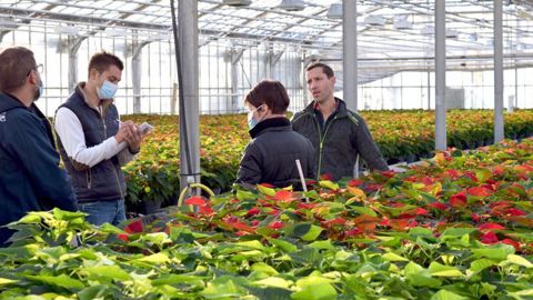 Producteur de poinsettia, Florent Besnard (ici de face) a ouvert les portes de ses serres aux adhérents du BHR le 5 novembre. ©A. Mabire